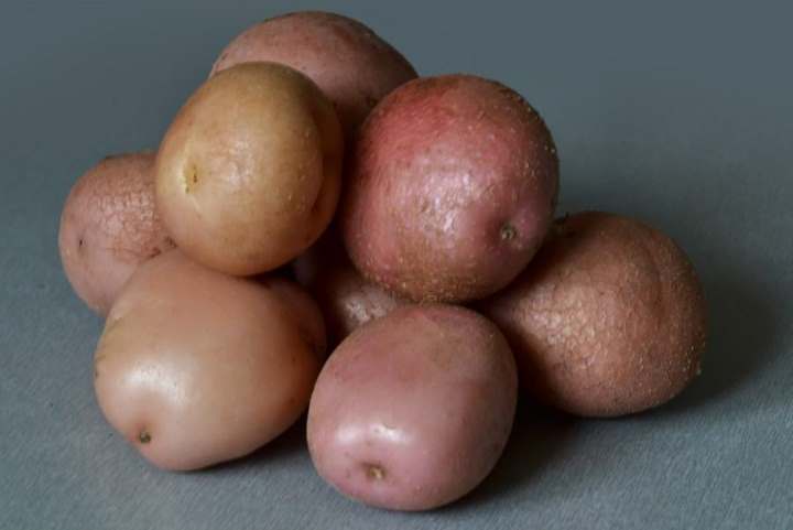 Каталог картофеля
