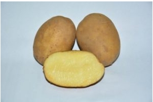 картофель крок